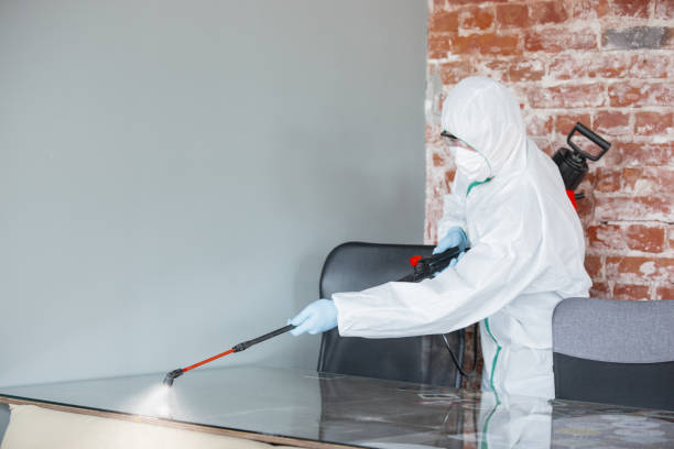 Mold Remediation for Rental Properties in Puxico, MO